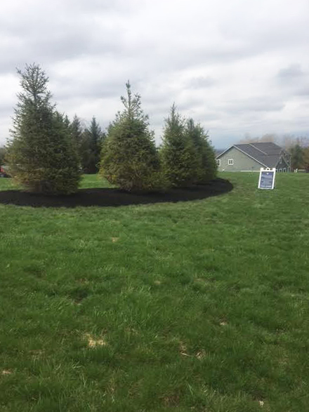 Summit Environmental Construction LLC Syracuse NY Manlius NY Landscape and Hardscape Services